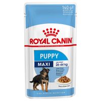 maxi junior active royal canin