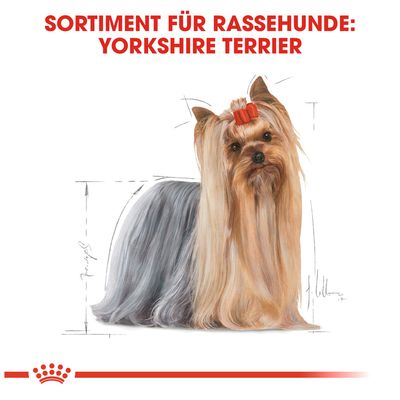 Royal Canin Yorkshire Terrier Adult pour chien