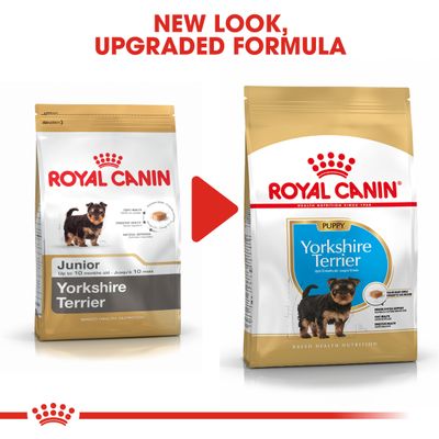 Yorkshire terrier puppy royal canin clearance
