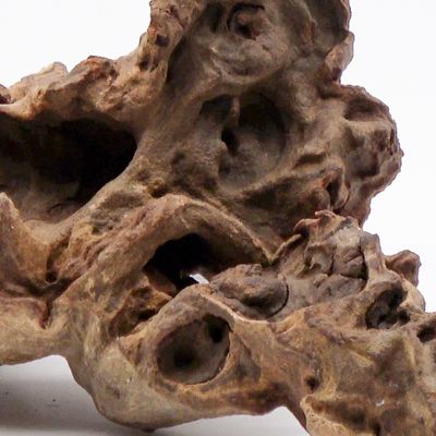 Savannenholz günstig kaufen bei zooplus