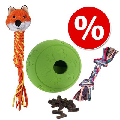 Set Giochi Per Cani Di Taglia M Zooplus