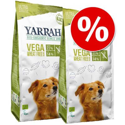 dieta morbida per cani con colite