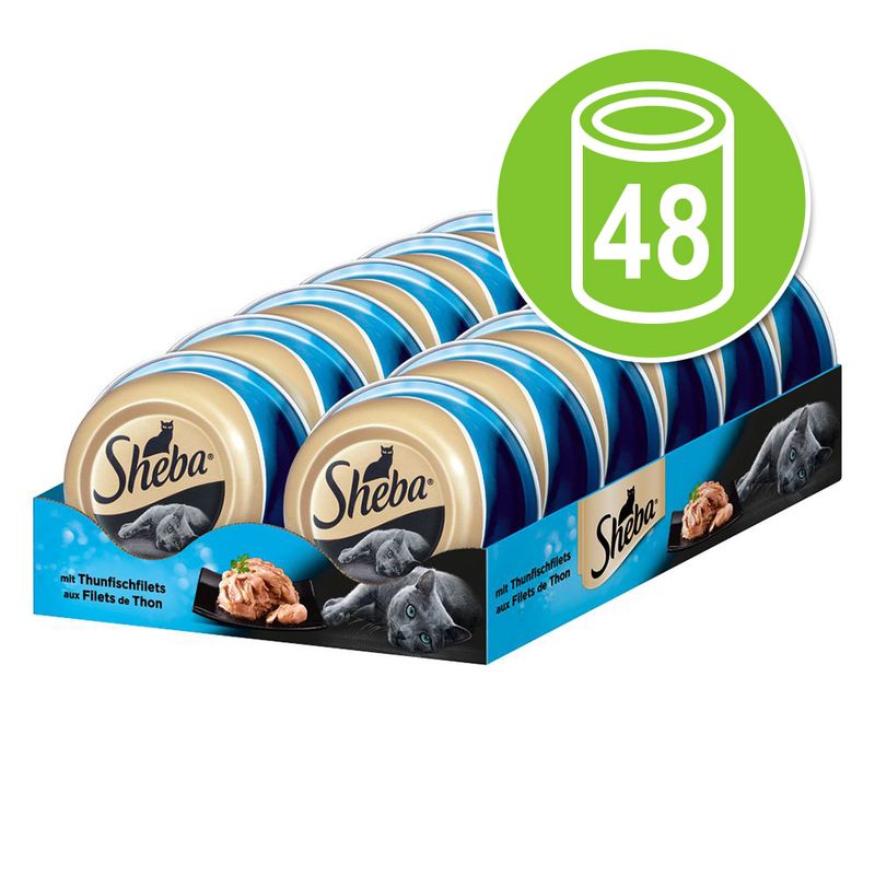 Sheba Feine Filets 48 X 80 G Gunstig Kaufen Zooplus