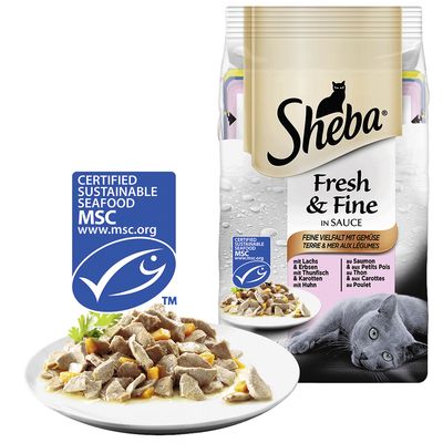 sheba fresh choice in gravy