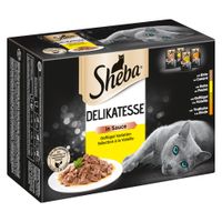 sheba bulk buy