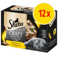 sheba bulk buy