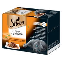 sheba bulk buy