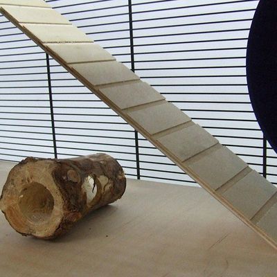 skyline leon hamster cage