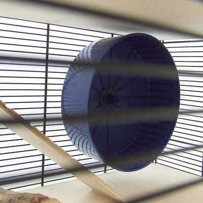 skyline leon hamster cage