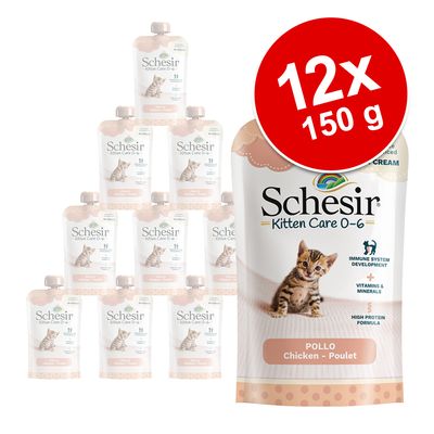 Sparpaket Schesir Kitten in Cream 12 x 150 g kaufen | zooplus