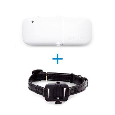 Traceur Tractive Ikati Gps Avec Collier Pour Chat Zooplus