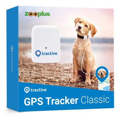 Tractive Gps Tracker Fur Hunde Zooplus Edition Gunstig Kaufen Zooplus