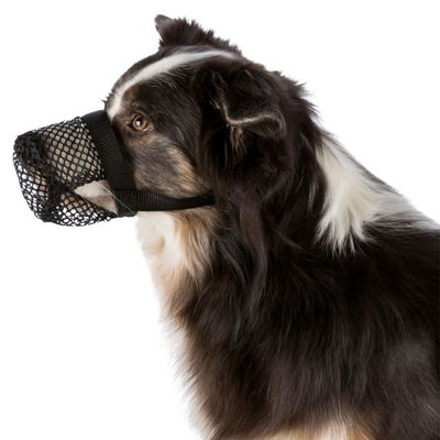 trixie dog muzzle
