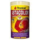 Tropical Astacolor Visvoer