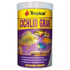 Tropical Cichlid Gran