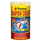 Tropical Goldfish Color