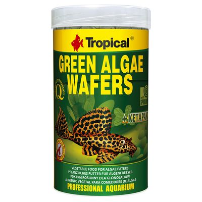 Tropical algae wafers clearance