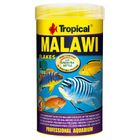 Tropical Malawi Visvoer