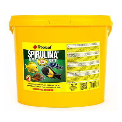 Tropical Super Spirulina Forte 36 Gunstig Kaufen Zooplus