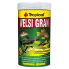 Tropical Welsi Gran