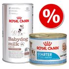 Voordelig dubbelpak: Royal Canin Babydog melk & Starter Mousse hondenvoer