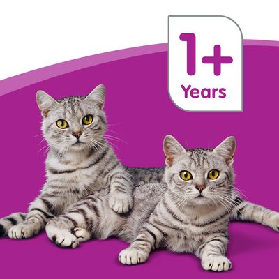 Whiskas casserole fish clearance