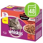 Whiskas 1+ Casserole / Ragout Selectie in Gelei Kattenvoer 48 x 85 g
