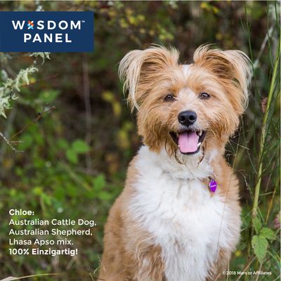 wisdom panel 2.0