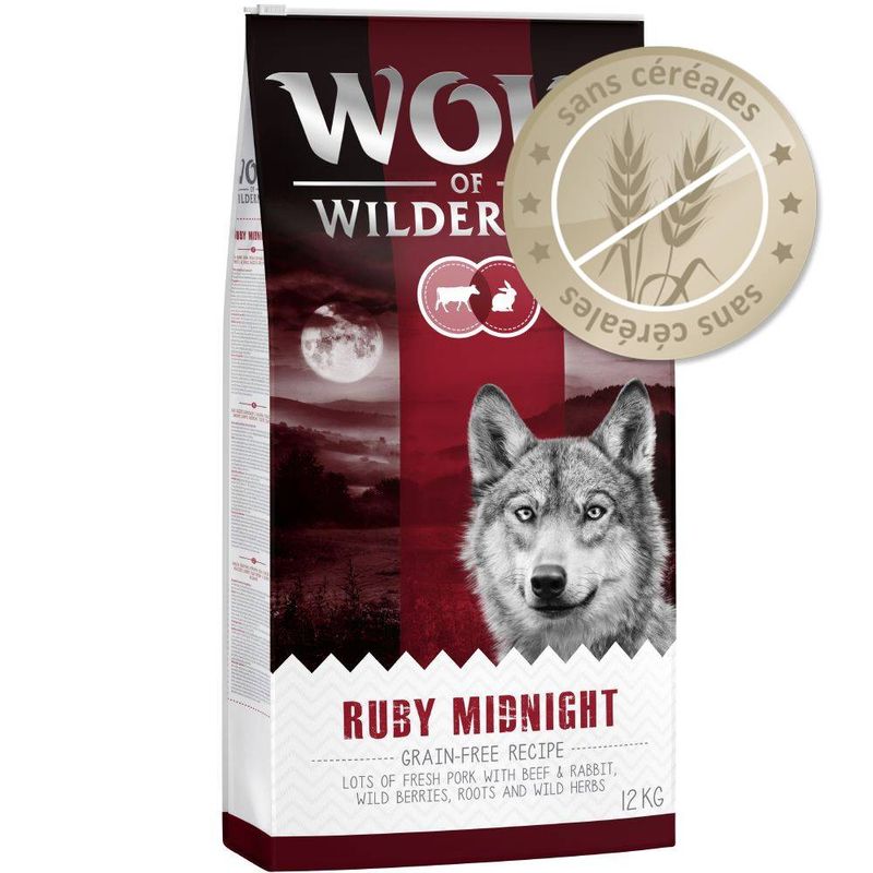 wolf of wilderness senior