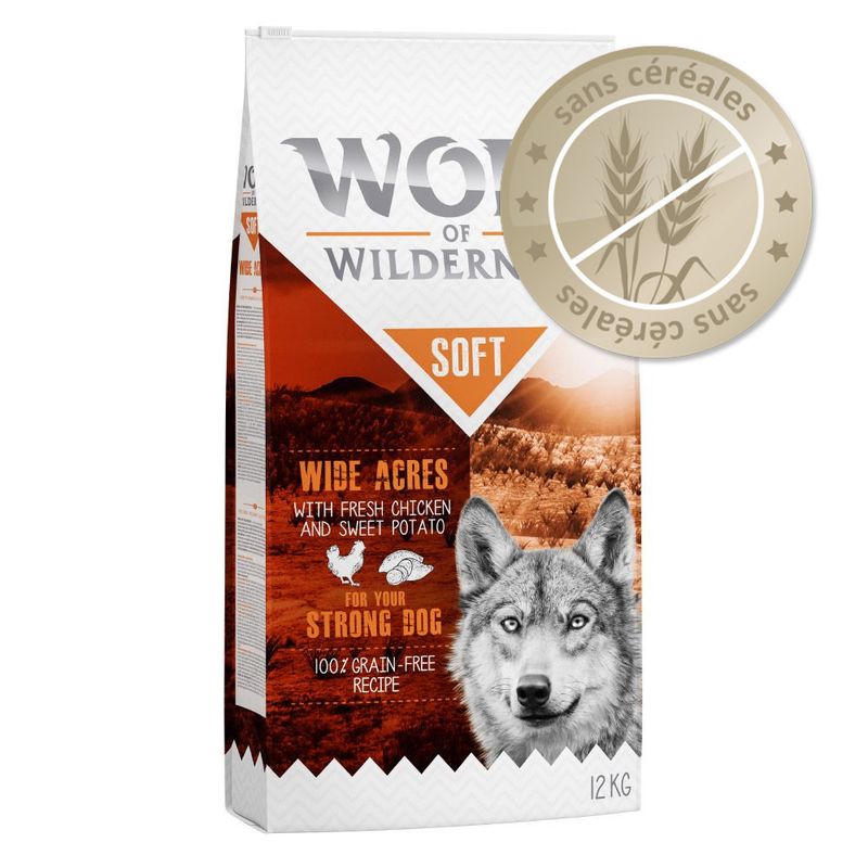 wolf of wilderness senior