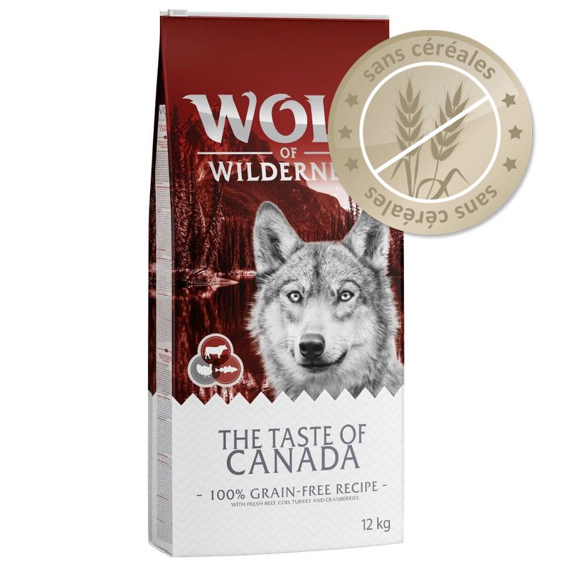 wolf of wilderness senior