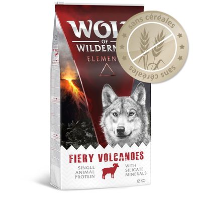 wolf of wilderness senior