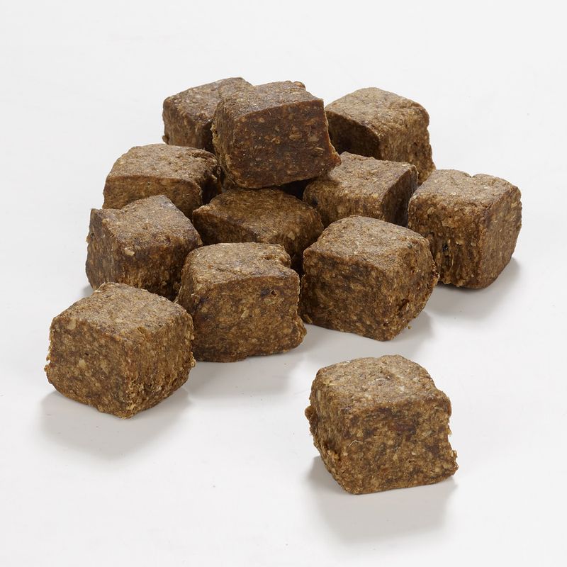 wolf of wilderness wild bites