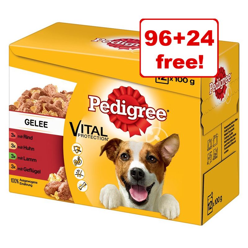 pedigree canned dog food 24 pack