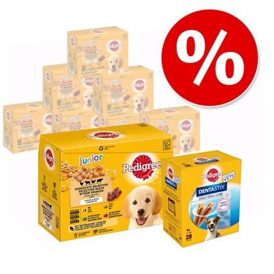 sachet pedigree