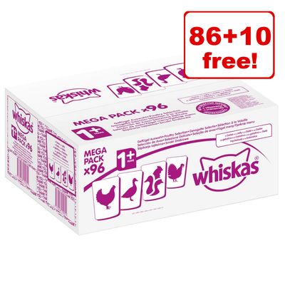 whiskas 80 pack