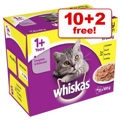 Whiskas wet cat food clearance