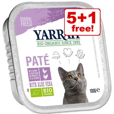 organic wet cat food