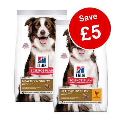 2 X Small Bags Hill S Science Plan Dog Food 5 Off Top Deal