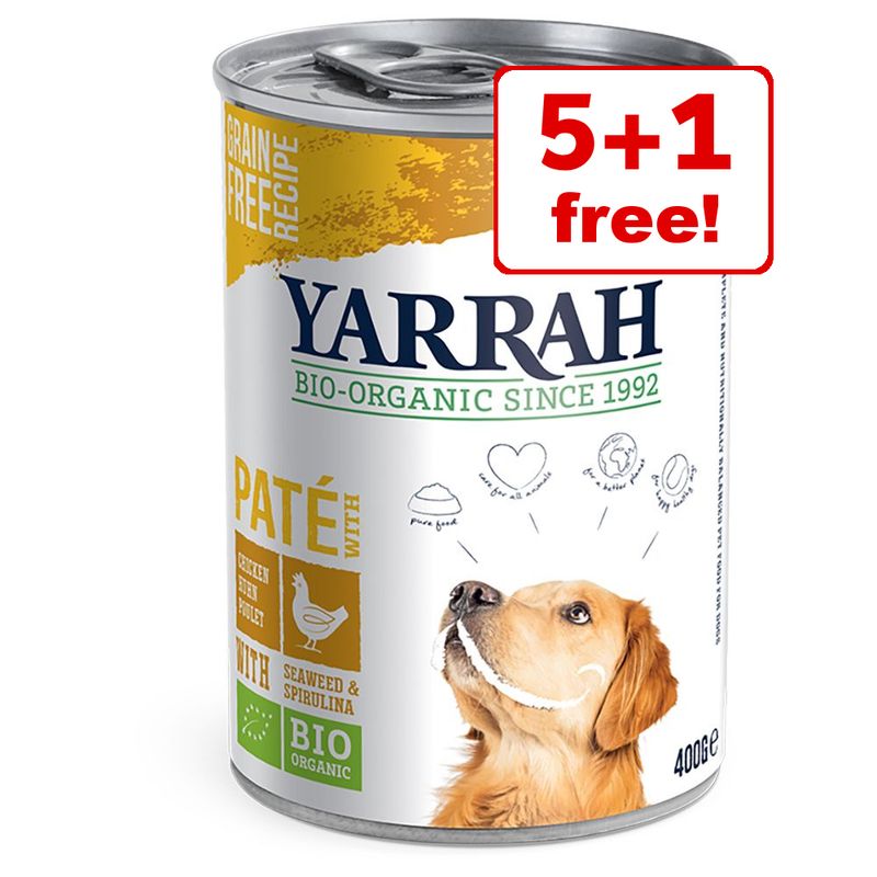 what kind of dog is on the petsmart commercial 2019