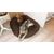 Taglia L per cane di 37 kg e amici