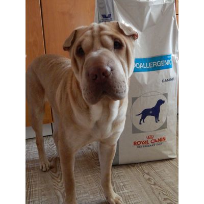 hypoallergenic dr 21