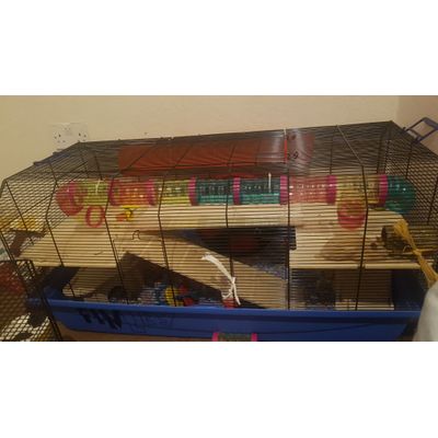 alexander hamster cage